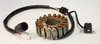 Rick's Hot Shot Alternator Stator Generator