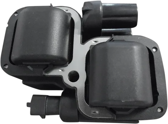 DS Black Electric Ignition Coil