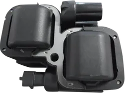 DS Black Electric Ignition Coil