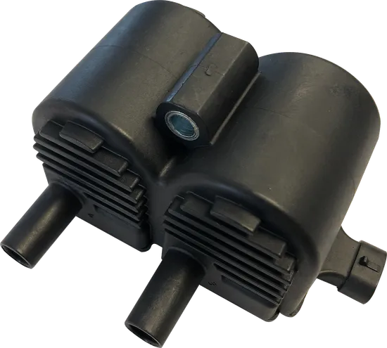 DS Gray Dual Fire Electronic Ignition Coil	