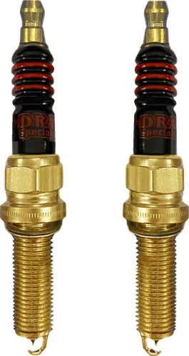 Drag Specialties Spark Plug Set Pair