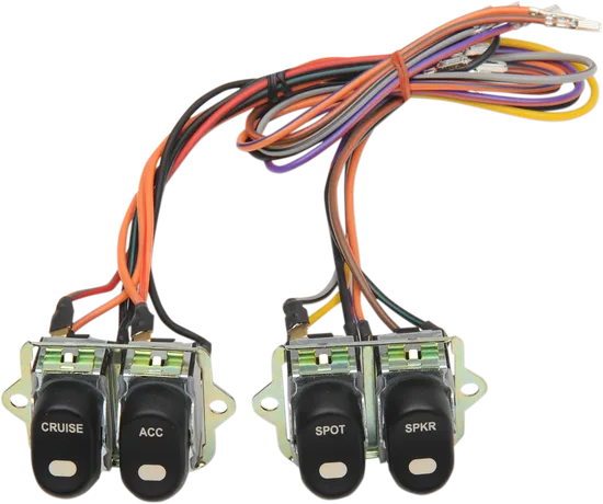 DS Black Inner Fairing Rocker Switch Assembly