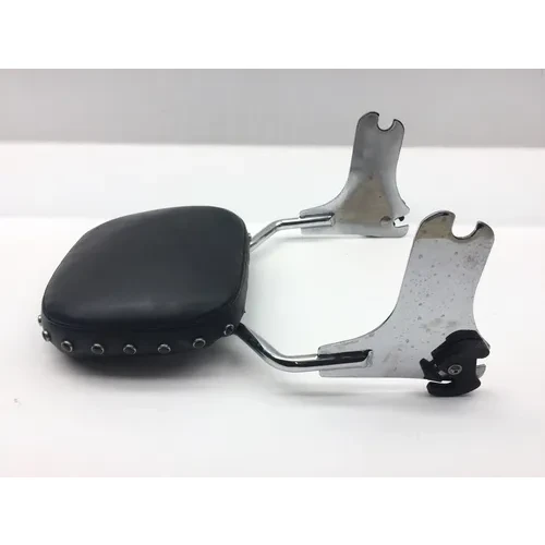 Sissy Bar 1999 Harley-Davidson Electra Glide FLHT 2265 x 4