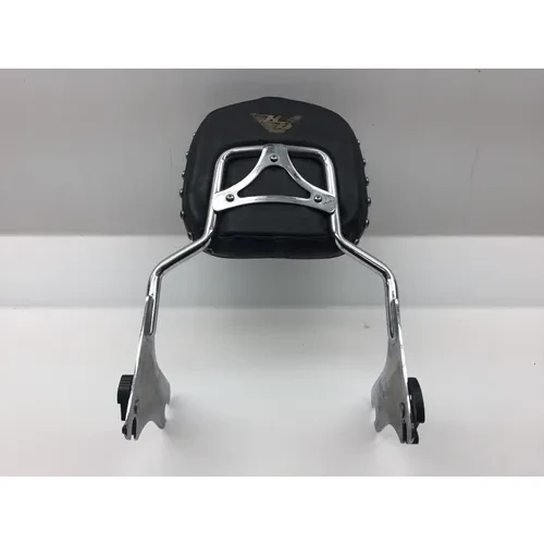 Sissy Bar 1999 Harley-Davidson Electra Glide FLHT 2265 x 6