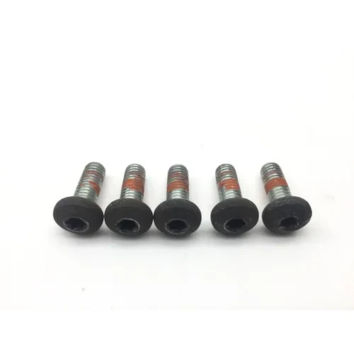 Rear Brake Rotor Disc Bolts 1995 Harley-Davidson Electra Glide FLHT 2274 3