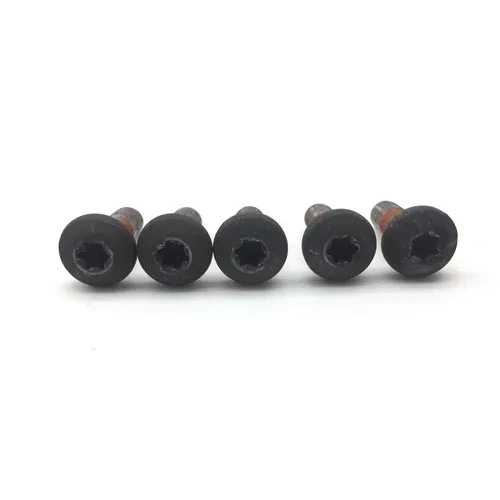 Rear Brake Rotor Disc Bolts 1995 Harley-Davidson Electra Glide FLHT 2274