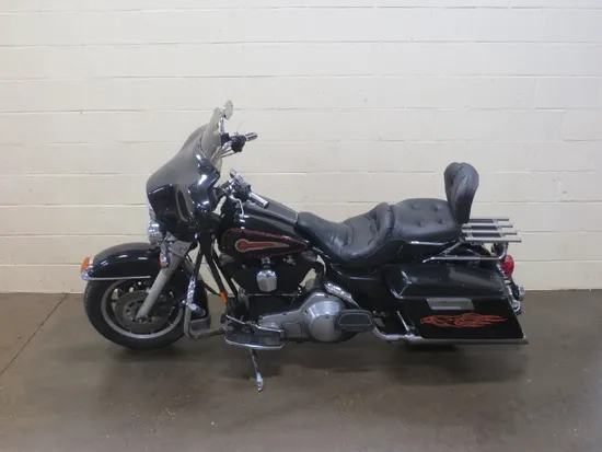 Passenger Rear Grab Bars 1995 Harley-Davidson Electra Glide FLHT 2274 x