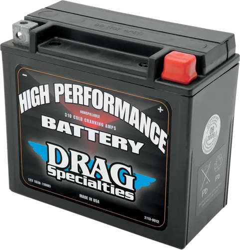 DS Maintenance Free Battery YTX20HL