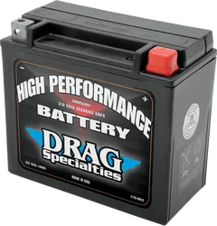 DS Maintenance Free Battery YTX20HL