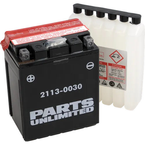 Parts Unlimited AGM Maintenance Free BatteryYTX14AHBS