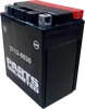 Parts Unlimited AGM Maintenance Free BatteryYTX14AHBS