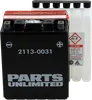 Parts Unlimited AGM Maintenance-Free Battery