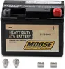 Moose Utility Factory-Activated AGM Maintenance-Free Battery