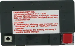 Parts Unlimited AGM Maintenance Free Battery YTZ7S