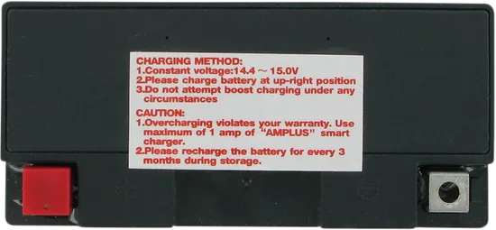 Parts Unlimited AGM Maintenance Free Battery YT9B-BS