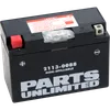 Parts Unlimited AGM Maintenance Free Battery YT9B-BS