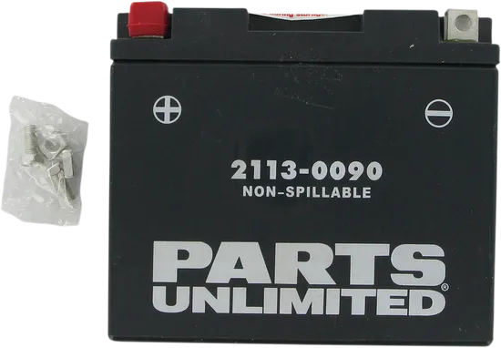 Parts Unlimited AGM Maintenance Free Battery YT12B-BS