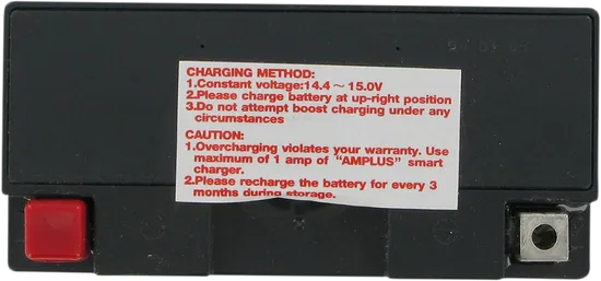 Parts Unlimited AGM Maintenance Free Battery YT12B-BS