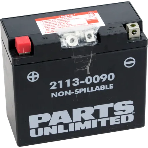 Parts Unlimited AGM Maintenance Free Battery YT12B-BS