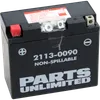 Parts Unlimited AGM Maintenance Free Battery YT12B-BS