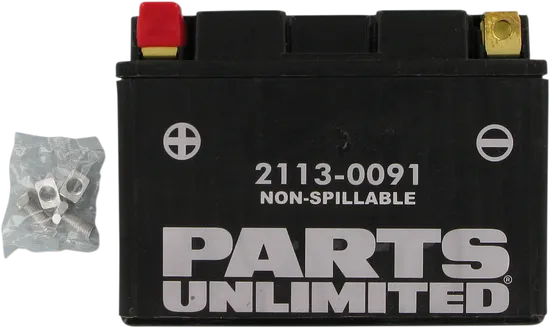 Parts Unlimited AGM Maintenance Free Battery YTZ12S