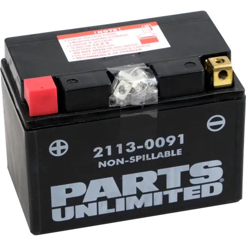 Parts Unlimited AGM Maintenance Free Battery YTZ12S