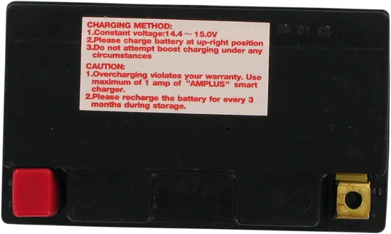 Parts Unlimited AGM Maintenance Free Battery YTZ12S