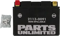 Parts Unlimited AGM Maintenance Free Battery YTZ12S