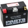 Parts Unlimited AGM Maintenance Free Battery YTZ12S
