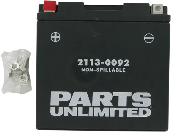 Parts Unlimited AGM Maintenance Free Battery YT14B4