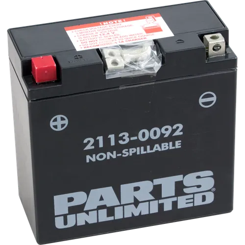 Parts Unlimited AGM Maintenance Free Battery YT14B4