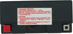 Parts Unlimited AGM Maintenance Free Battery YT14B4