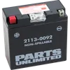 Parts Unlimited AGM Maintenance Free Battery YT14B4