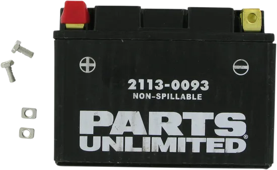 Parts Unlimited AGM Maintenance Free Battery YTZ14S
