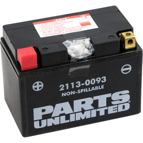 Parts Unlimited AGM Maintenance Free Battery YTZ14S