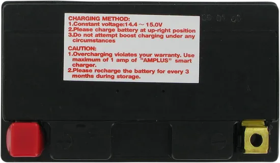 Parts Unlimited AGM Maintenance Free Battery YTZ14S