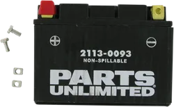 Parts Unlimited AGM Maintenance Free Battery YTZ14S