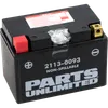 Parts Unlimited AGM Maintenance Free Battery YTZ14S