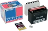 Parts Unlimited AGM Maintenance Free Battery YTX24HL-BS