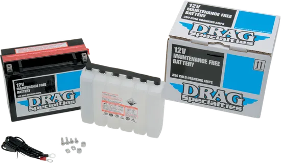 DS Factory Activated AGM Maintenance Free Battery YTX24HLBS