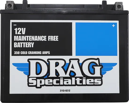 DS Factory Activated AGM Maintenance Free Battery YTX24HLBS