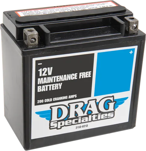 DS AGM Maintenance Free Battery YTX14L-BS