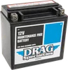 DS AGM Maintenance Free Battery YTX14L-BS