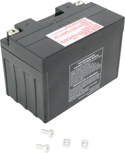 Parts Unlimited AGM Maintenance Free Battery YT12A-BS