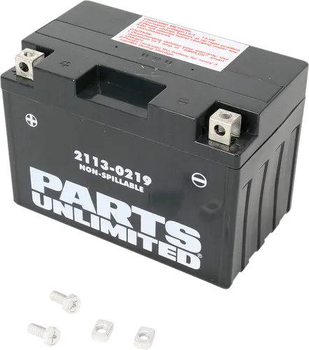 Parts Unlimited AGM Maintenance Free Battery YT12A-BS