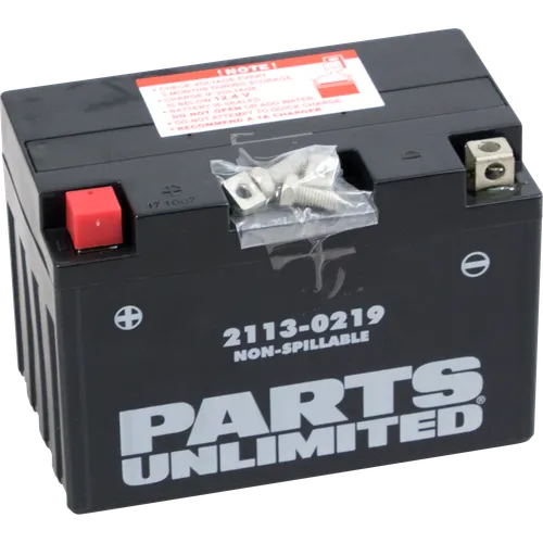 Parts Unlimited AGM Maintenance Free Battery YT12A-BS