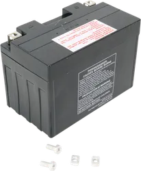 Parts Unlimited AGM Maintenance Free Battery YT12A-BS