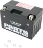 Parts Unlimited AGM Maintenance Free Battery YT12A-BS