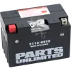 Parts Unlimited AGM Maintenance Free Battery YT12A-BS