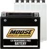 Moose Utility AGM Maintenance-Free Battery